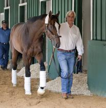 Bodemeister, Baffert